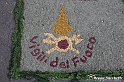 VBS_9657 - Infiorata di Villanova d'Asti 2023